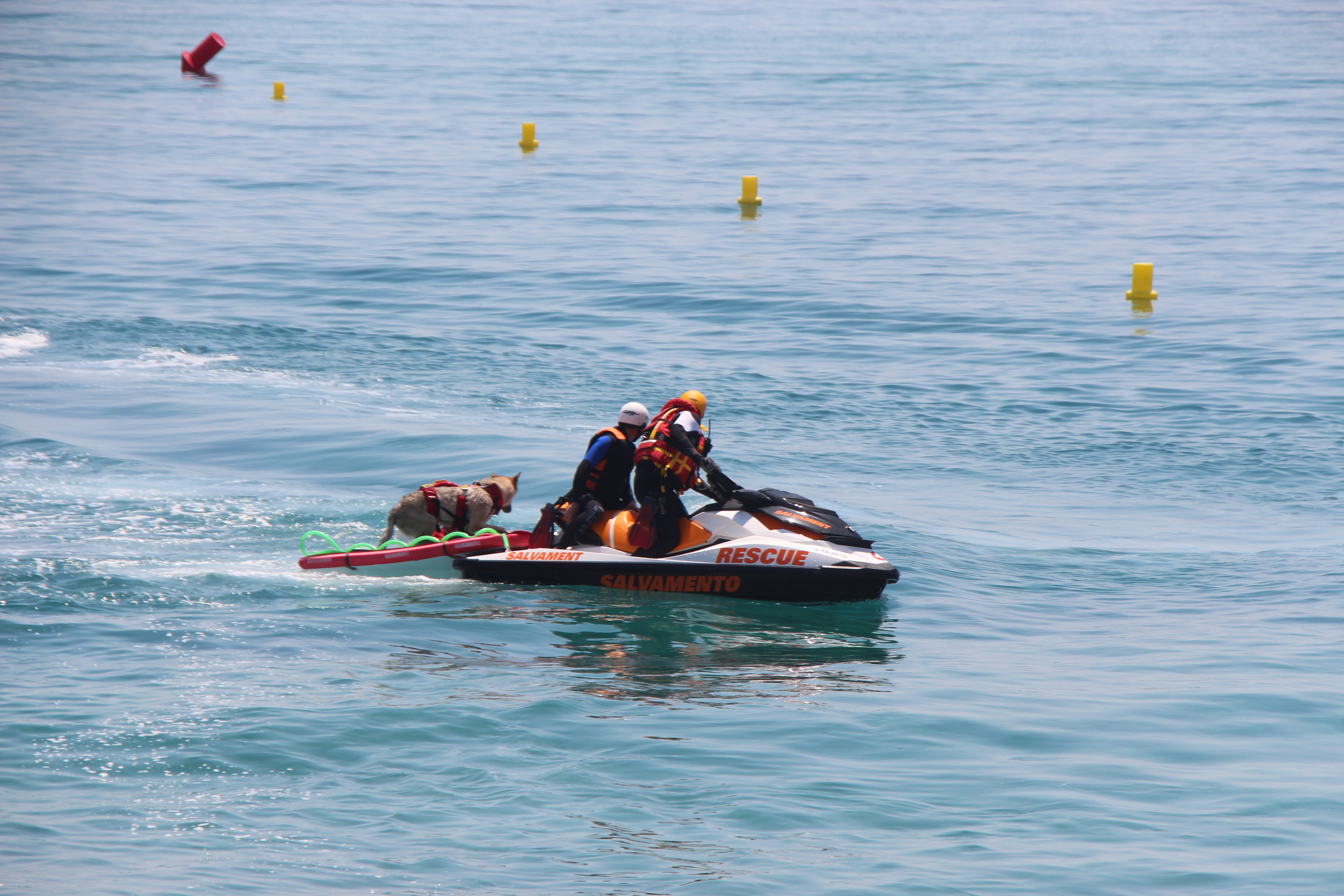 Festa Major 2019 - Foto 55027742