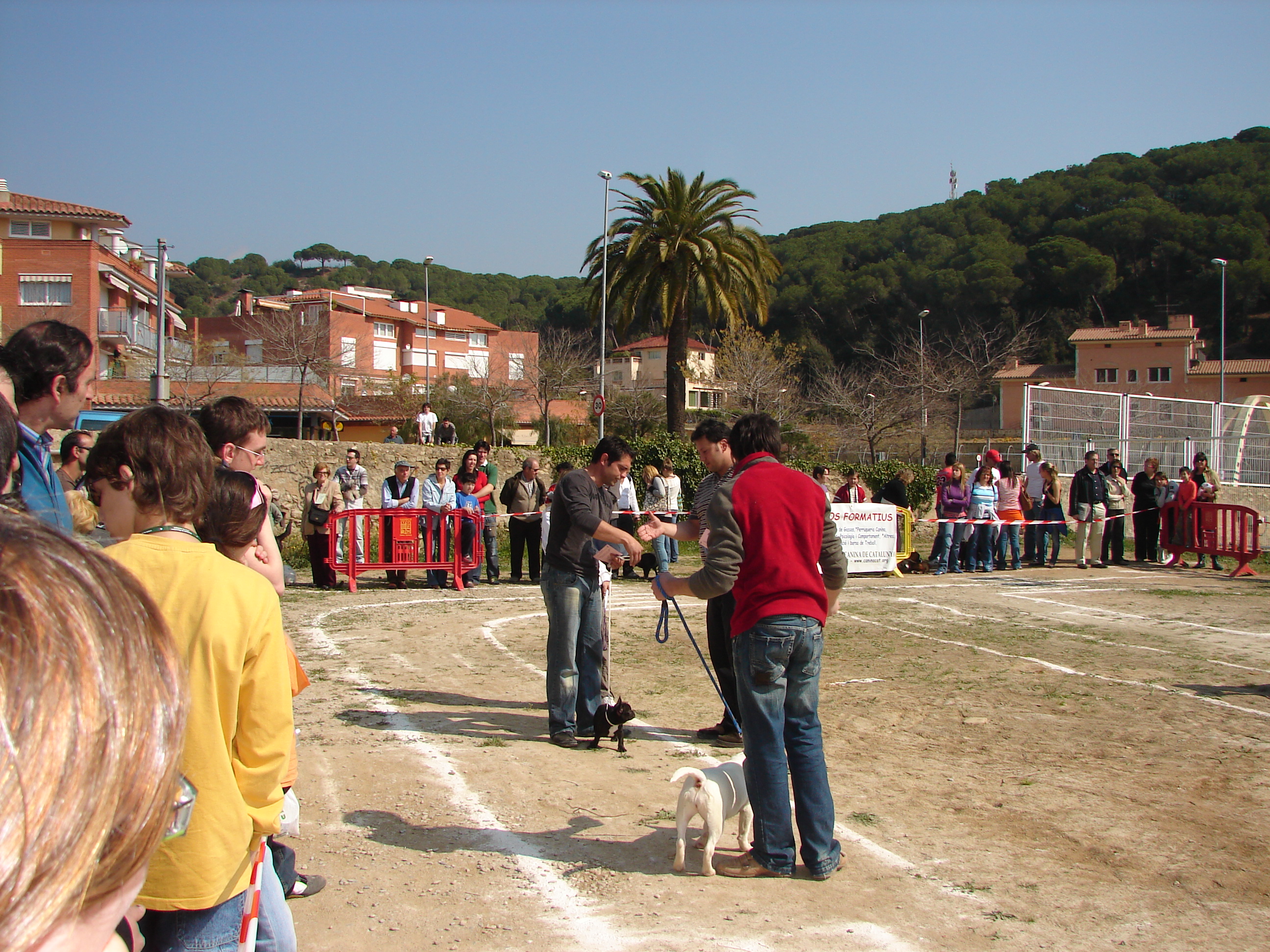 Exposici canina | mar 2007 - Foto 28292399