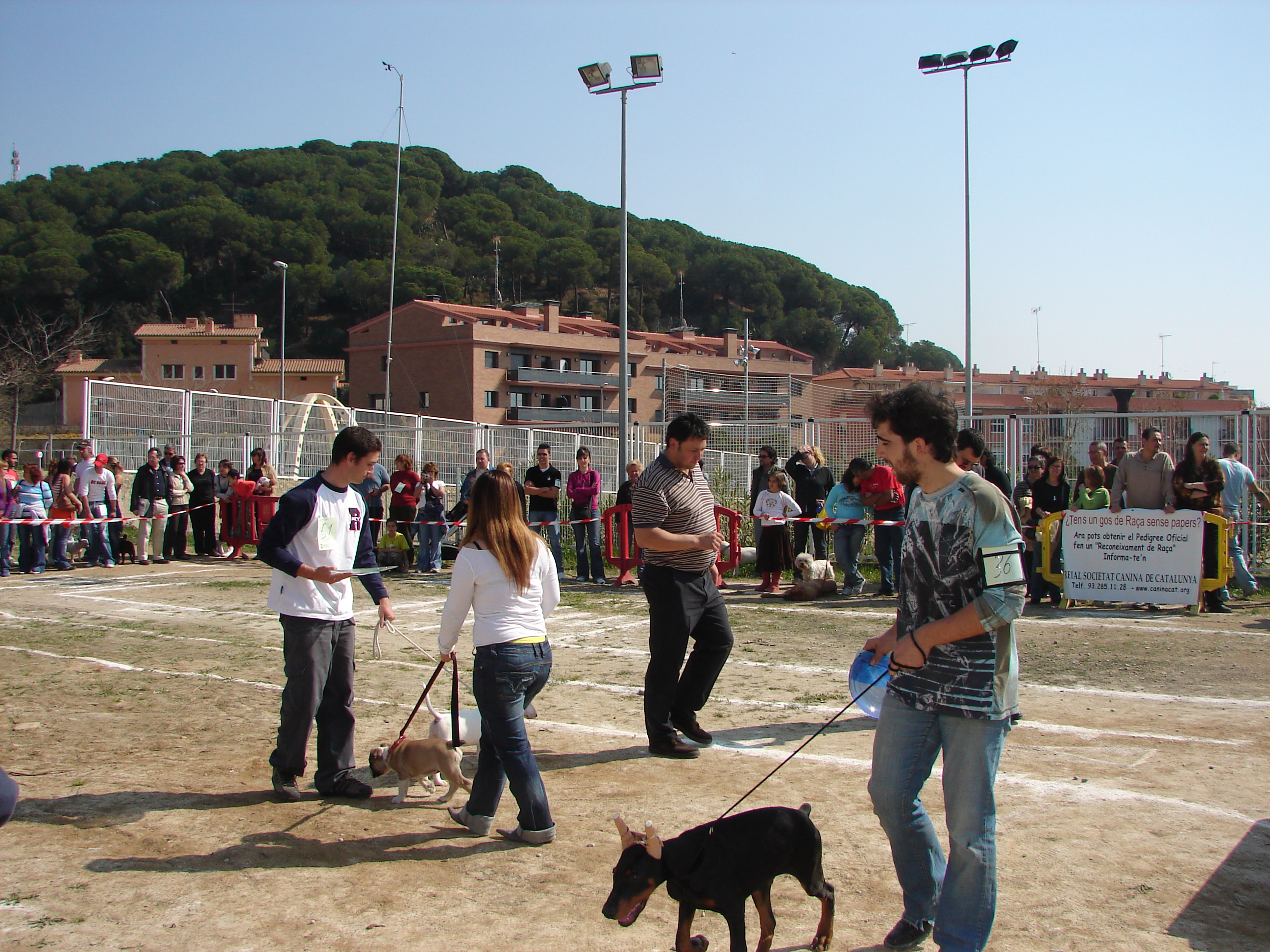 Exposici canina | mar 2007 - Foto 77196301