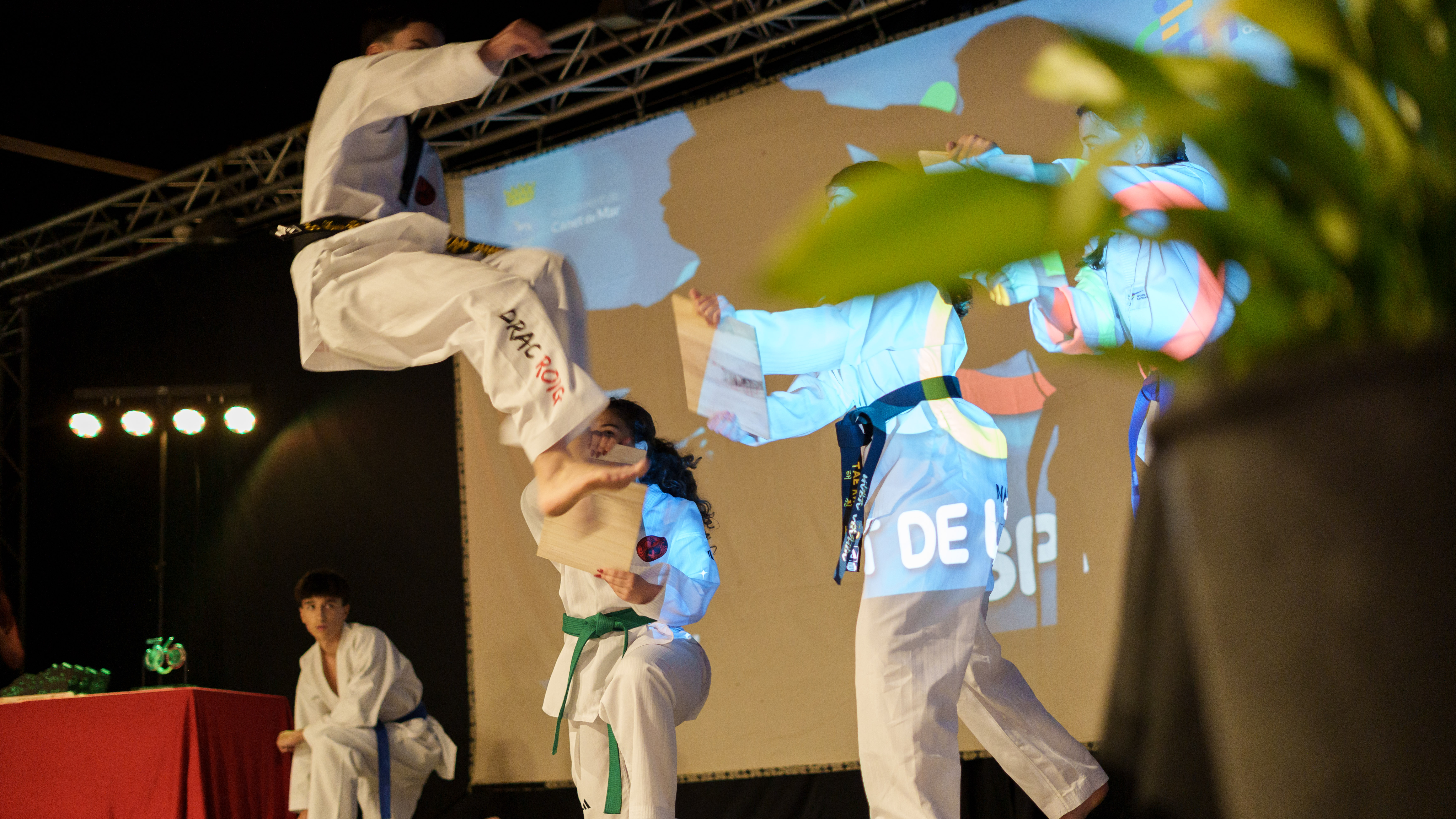 Nit de l'esport 2025 - Foto 36628698