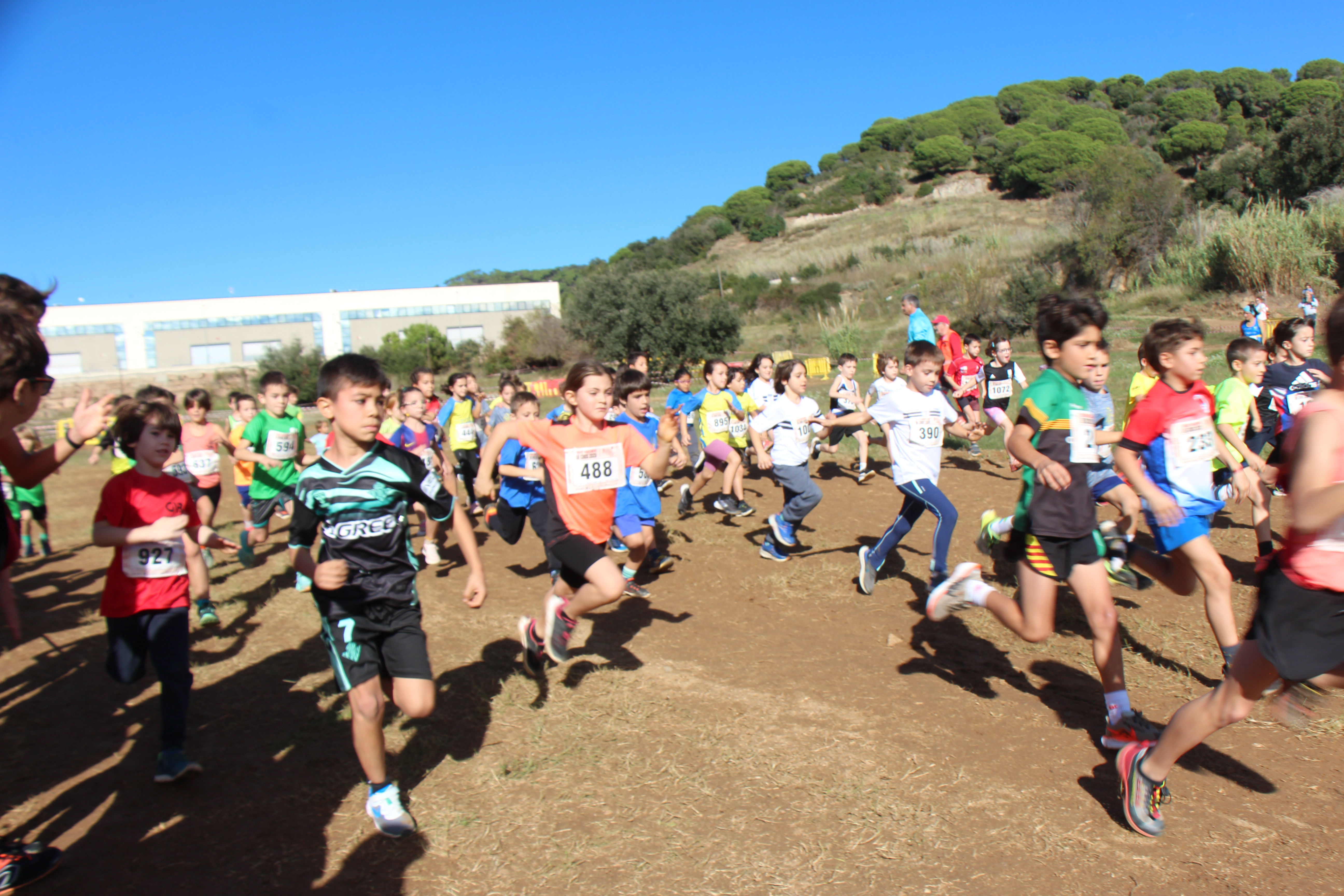 Cros mster | 16 de novembre 2025 - Foto 39136175