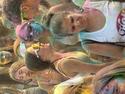 Festa Holi - Festa Major 2026 9