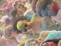Festa Holi - Festa Major 2026 7