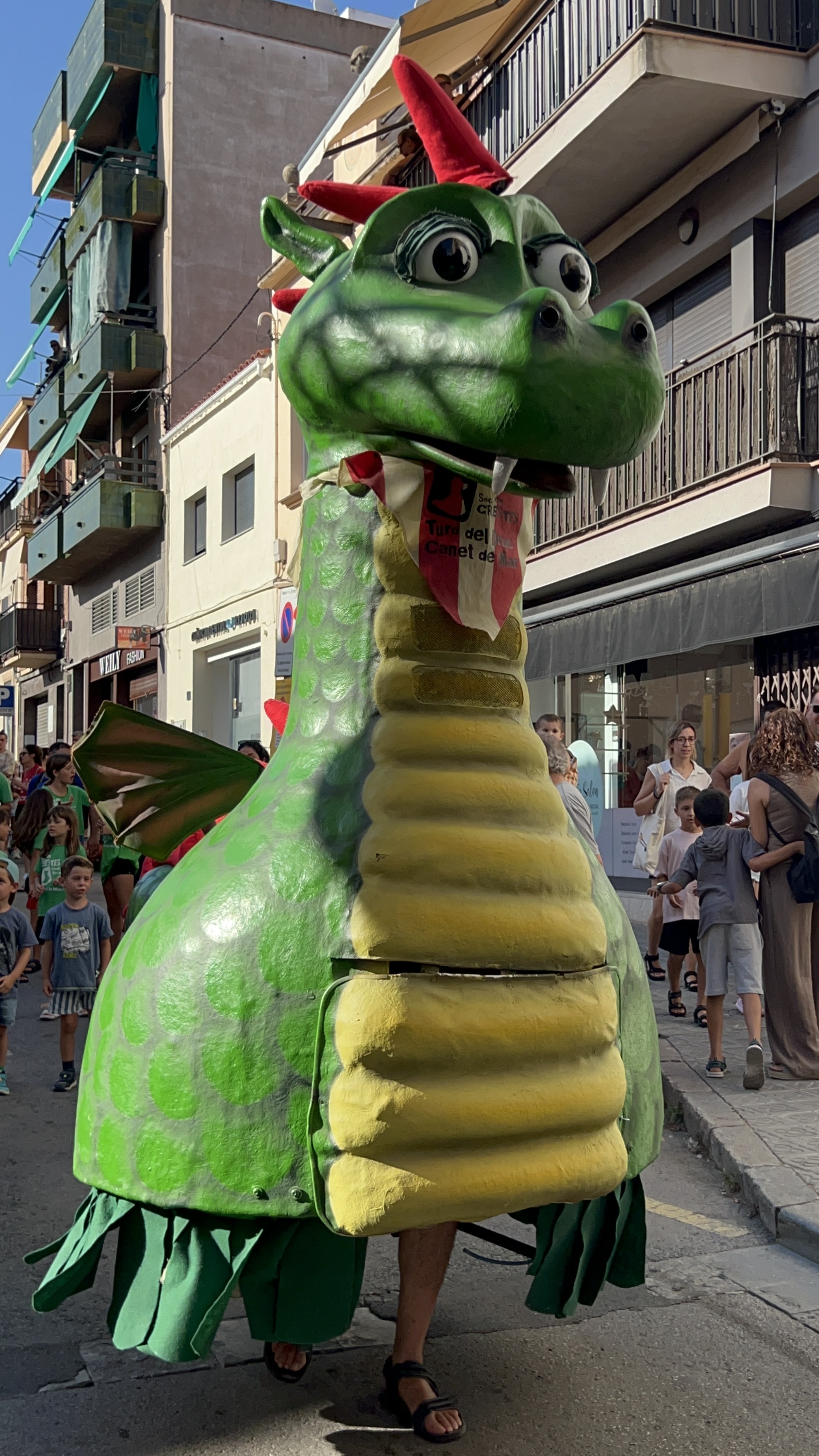 XXXIX Trobada Gegants 31
