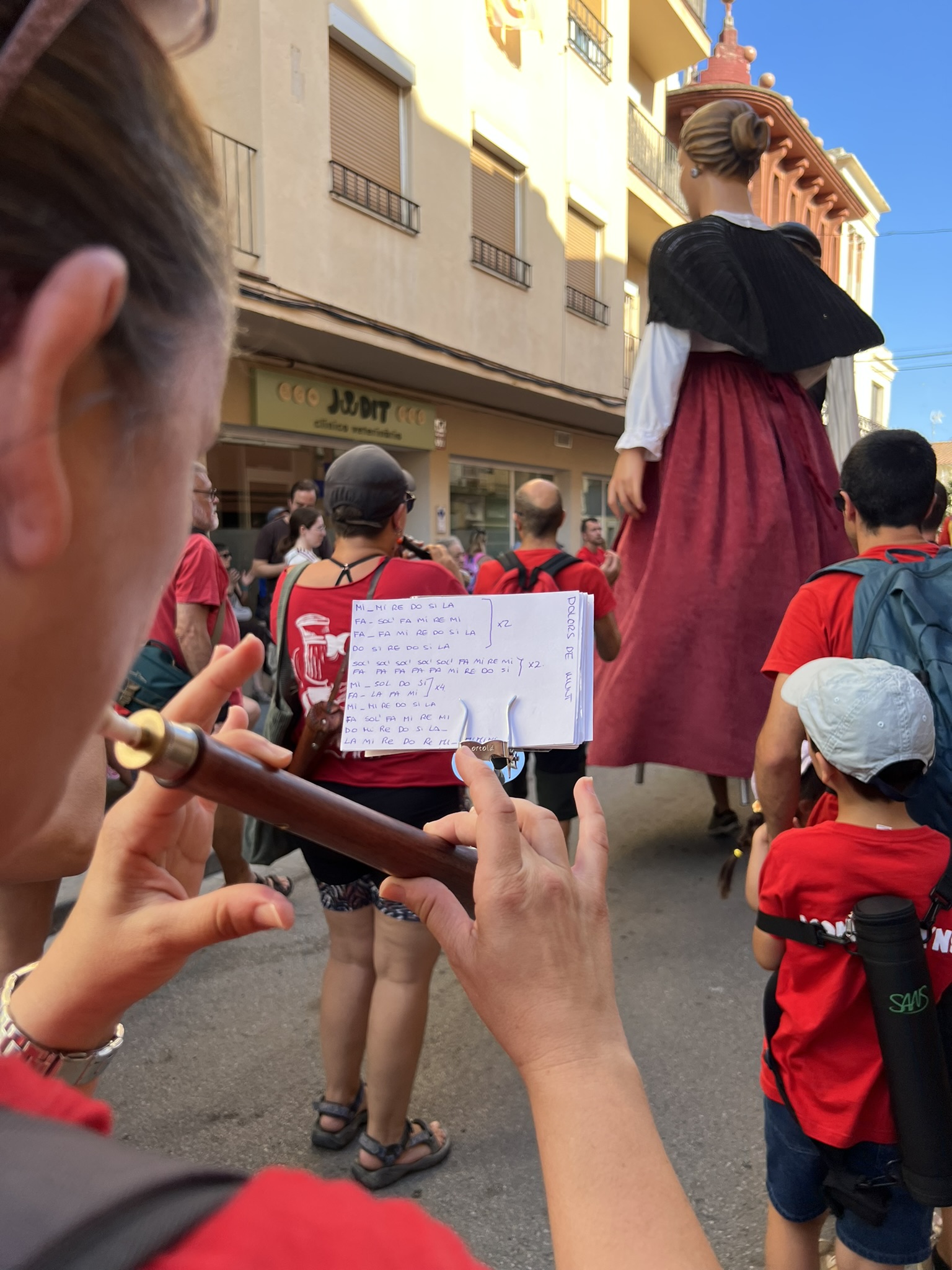 XXXIX Trobada Gegants 32