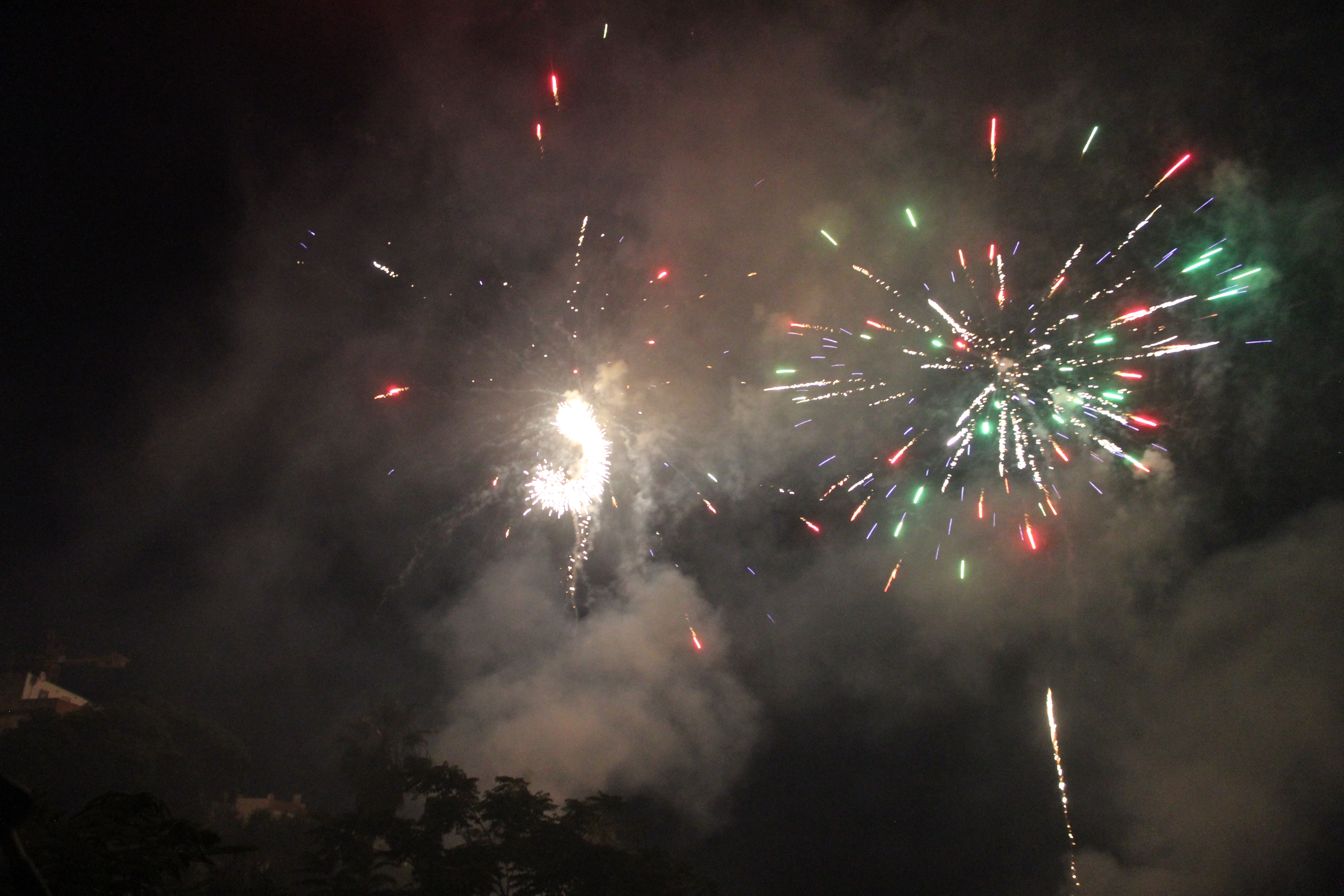 Diada Sant Pere i Sant Pau 24