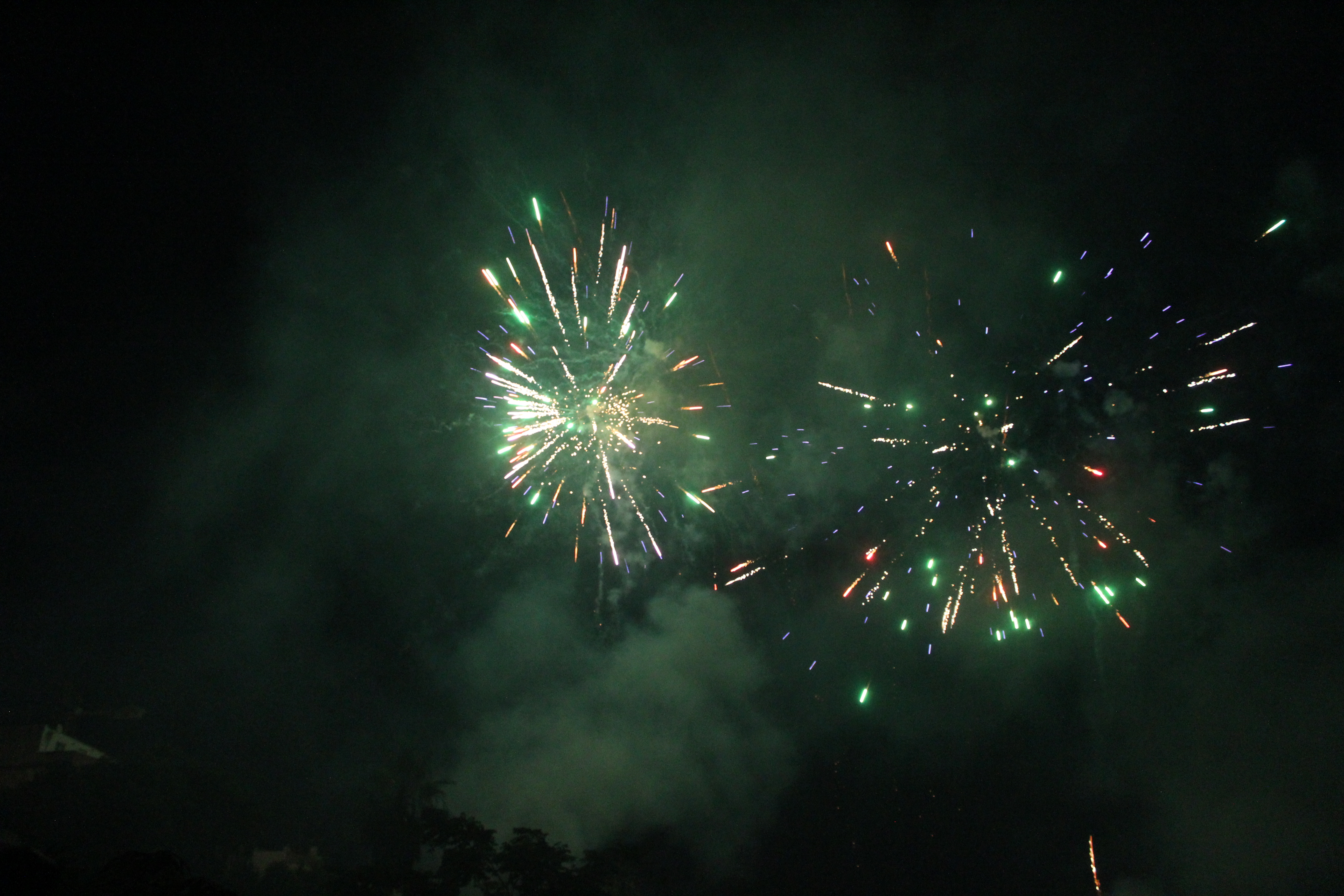 Diada Sant Pere i Sant Pau 25