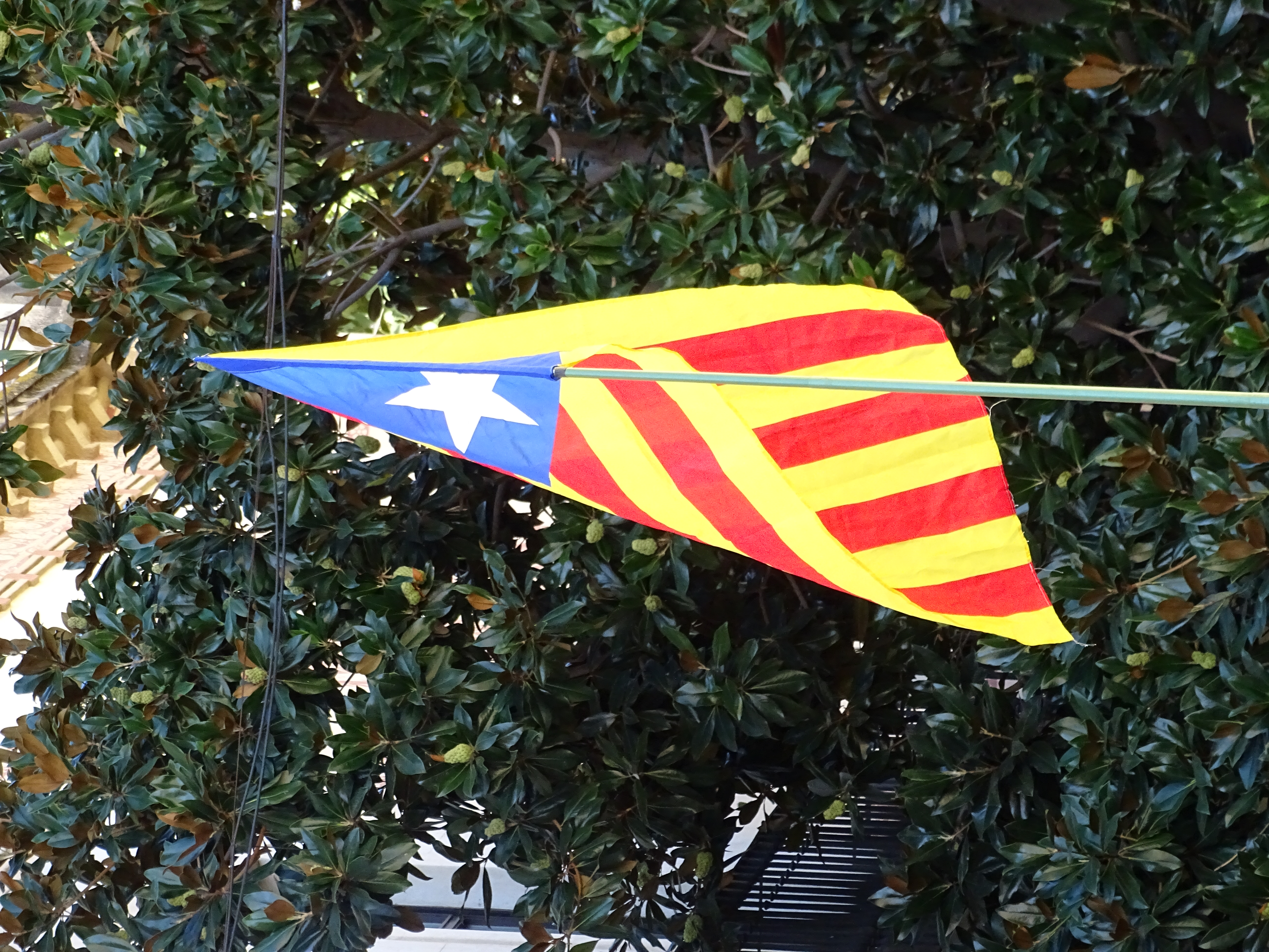 Diada Nacional de Catalunya 2026