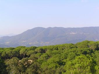 Montnegre