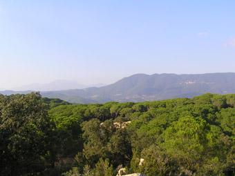 Montnegre