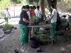 jardiners