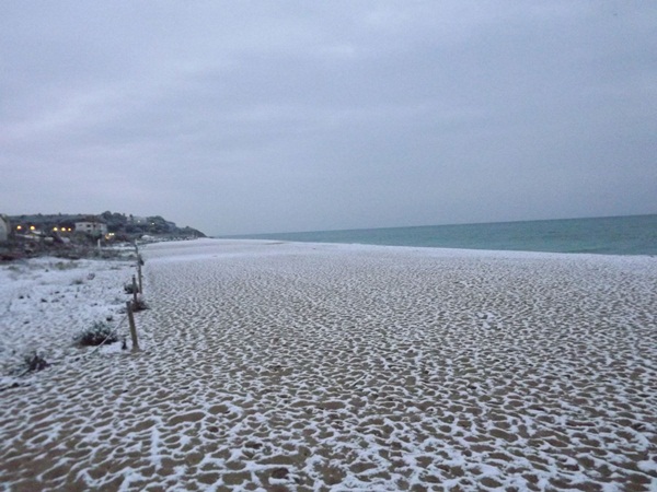 Nevada 2 de febrer de 2012