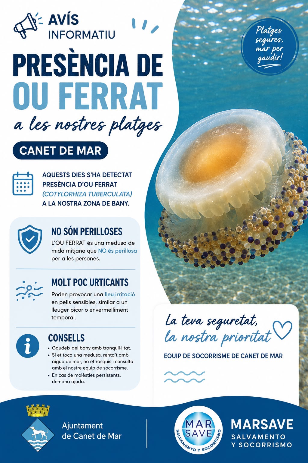 meduses meduses