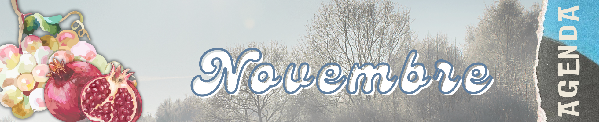 Agenda novembre