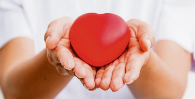 banner per Associació Voluntaris Hosp Calella banner per Associació Voluntaris Hosp Calella