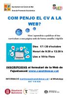 Curs penjar CV al web