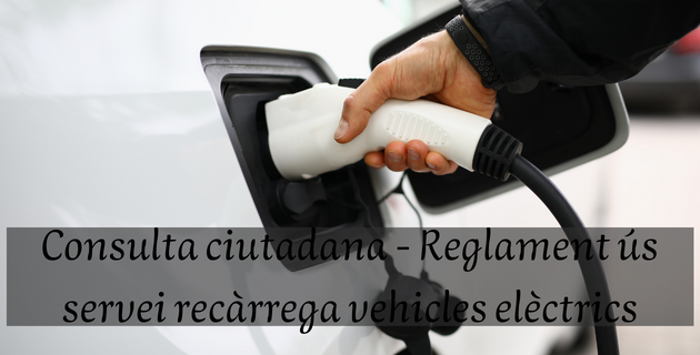 Vehicles elctrics