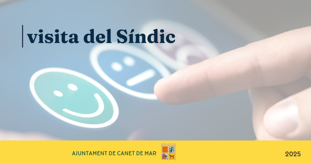 visita sndic