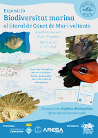 Cartell Exposici&oacute;