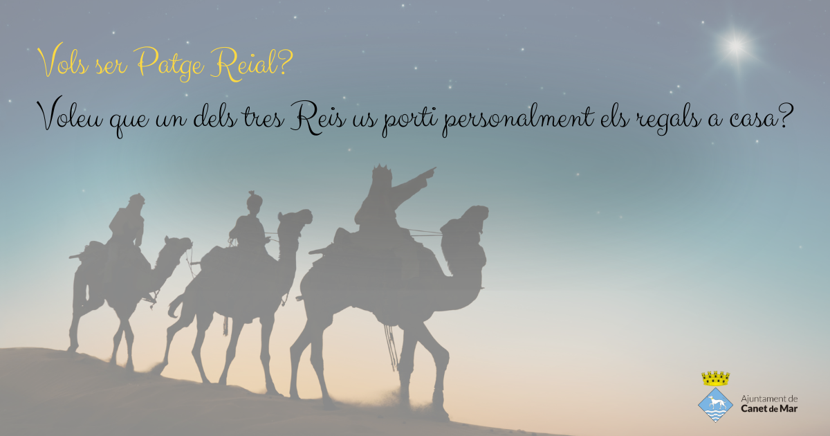 Reis a les cases Reis a les cases