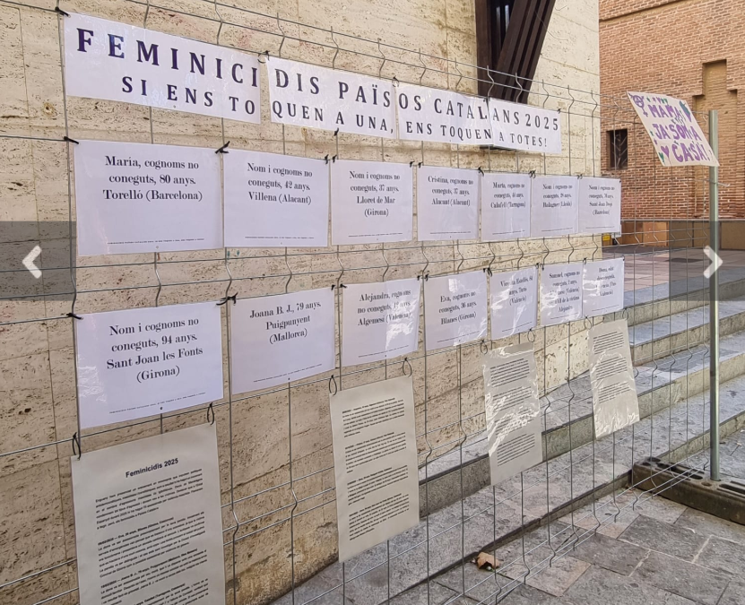 25N reivindicatiu 25N reivindicatiu