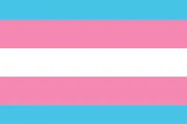 bandera trans