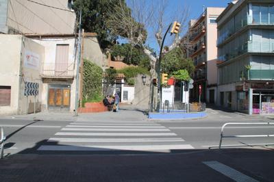placeta