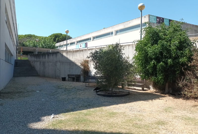 Inici curs 2026