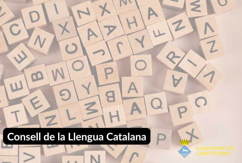 Consell llengua catalana