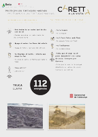 Informació Caretta caretta