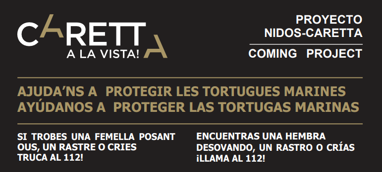 caretta