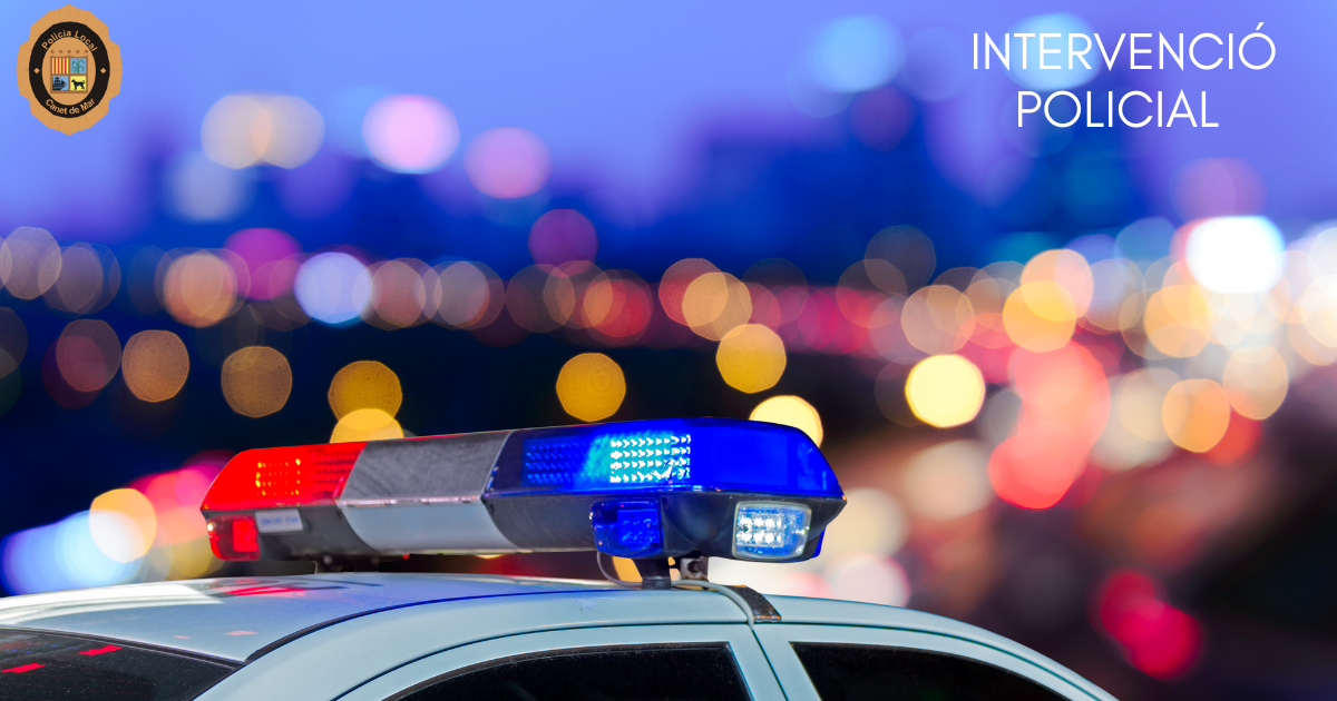 Intervenci policial