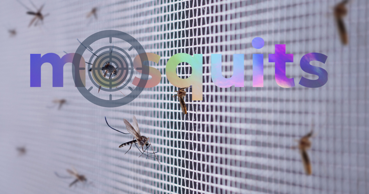 mosquits