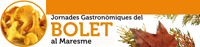 banner bolet genèric