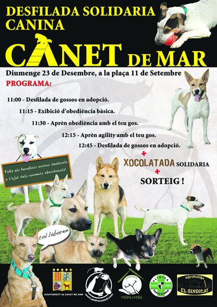 Cartell desfilada canina hivern