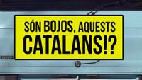 Cartell són bojos