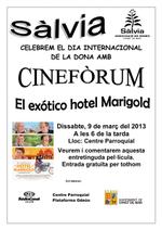 Cartell cinefòrum - 2013