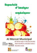 Cartell exposició arts orgàniques - 2013