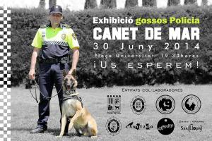 Cartell exhibició canina 20/06/2014