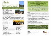 Programa Aplec Pedracastell - 2014