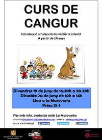 Cartell curs de Cangur - juny 2015