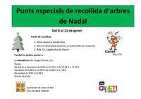 Recollida especial d'arbres de Nadal - 2015