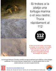 ndificaci&oacute; tortugues