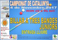 Cartell campionat billar - novembre 2017