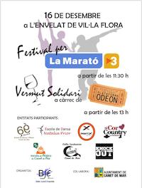 Cartell activitats Marató TV3 - desmbre 2018