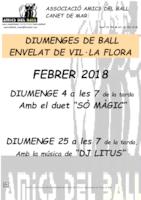 Cartell amics del ball - febrer 2018