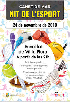 Cartell Nit de l'Esport