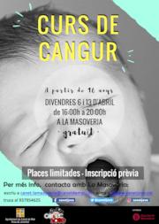 Curs de Cangur - abril 2018
