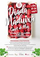 Cartell diada de la maduixa - 2019