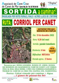 Cartell sortida 19/12